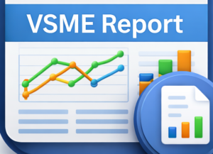Finance 123 VSME Report